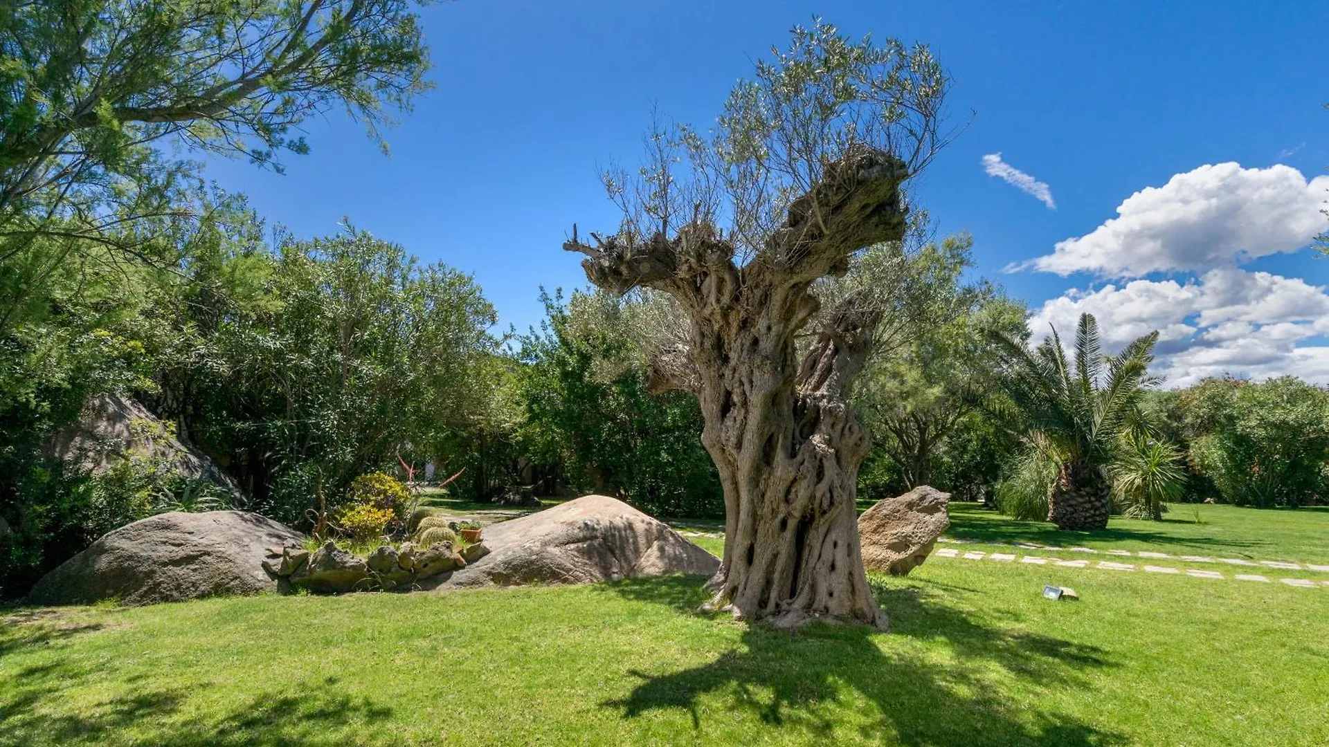 Casa Monorosa Villa Porto Rotondo